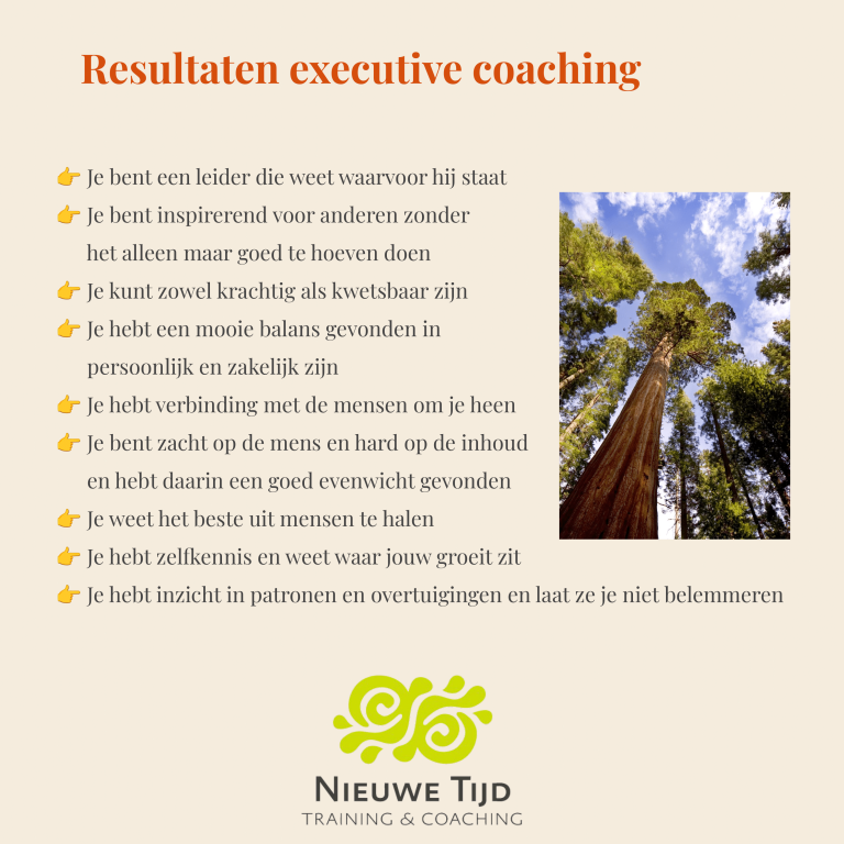 Executive Coaching 6 jan 2025-7