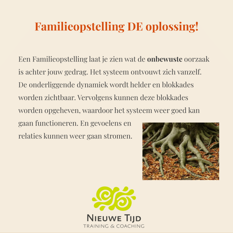 Familieopstellingen-5-jan-2025-2