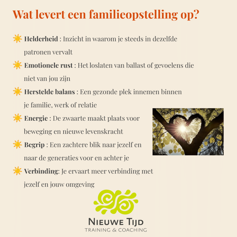 Familieopstellingen-5-jan-2025-7