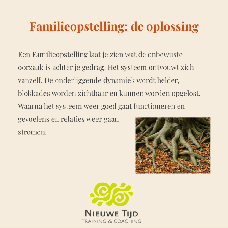 Familieopstellingen 5 jan 2025-3