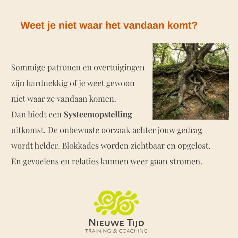 Personal Coaching 11 mei 2025-5